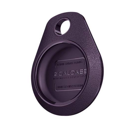Caudabe TagClip AirTags holder (AirTag & Carabiner NOT INCLUDED) - Amethyst